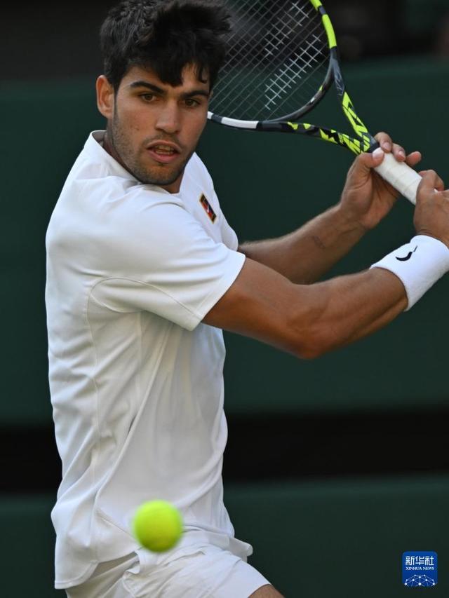 加内特与皮 加内特与皮