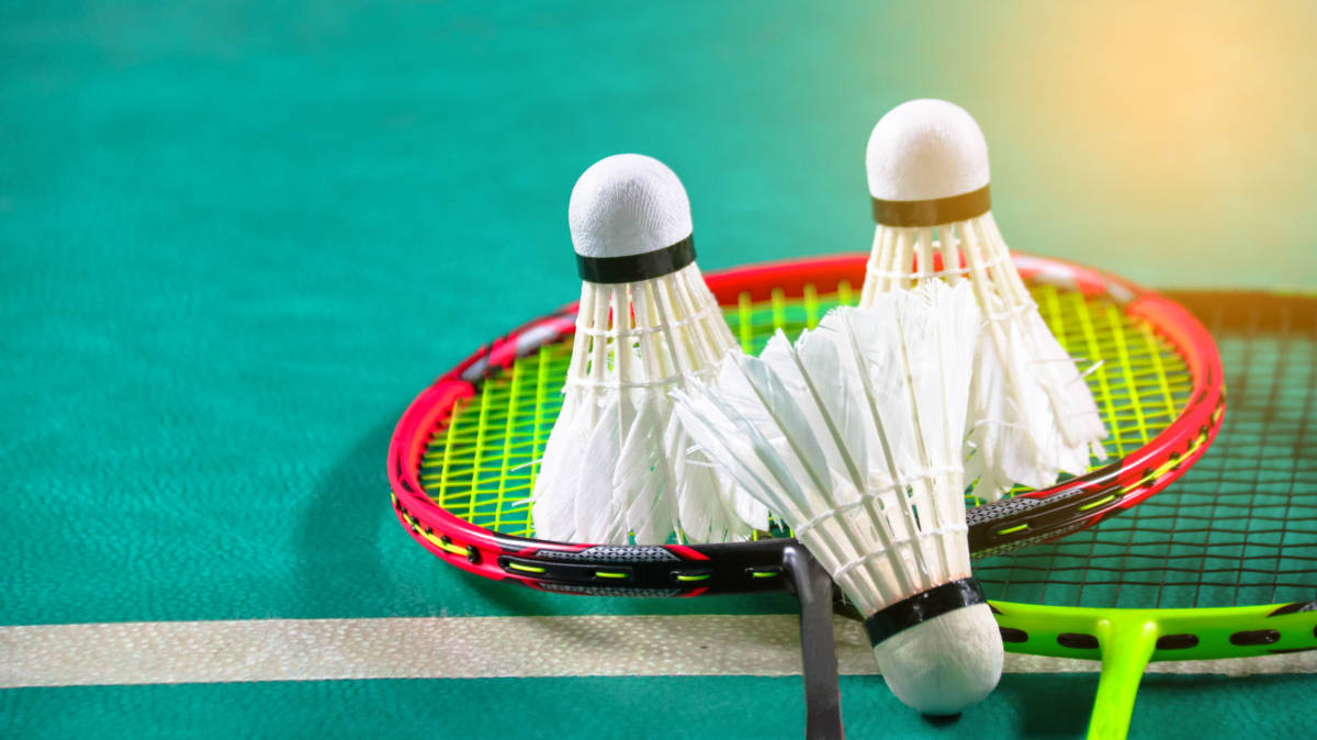 他们不仅代 他们不仅代